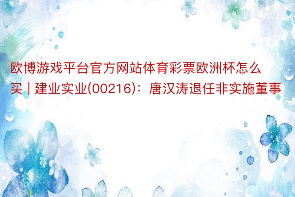 欧博游戏平台官方网站体育彩票欧洲杯怎么买 | 建业实业(00216)：唐汉涛退任非实施董事