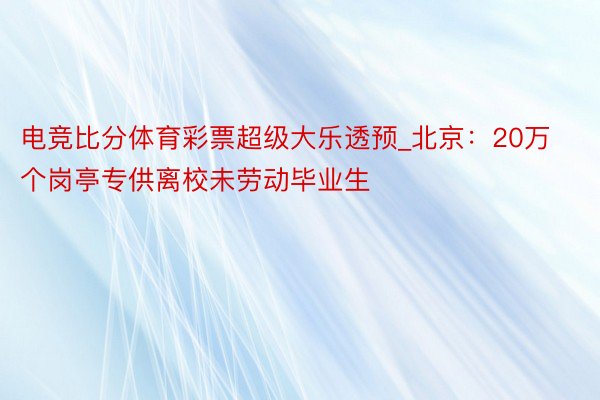 电竞比分体育彩票超级大乐透预_北京：20万个岗亭专供离校未劳动毕业生